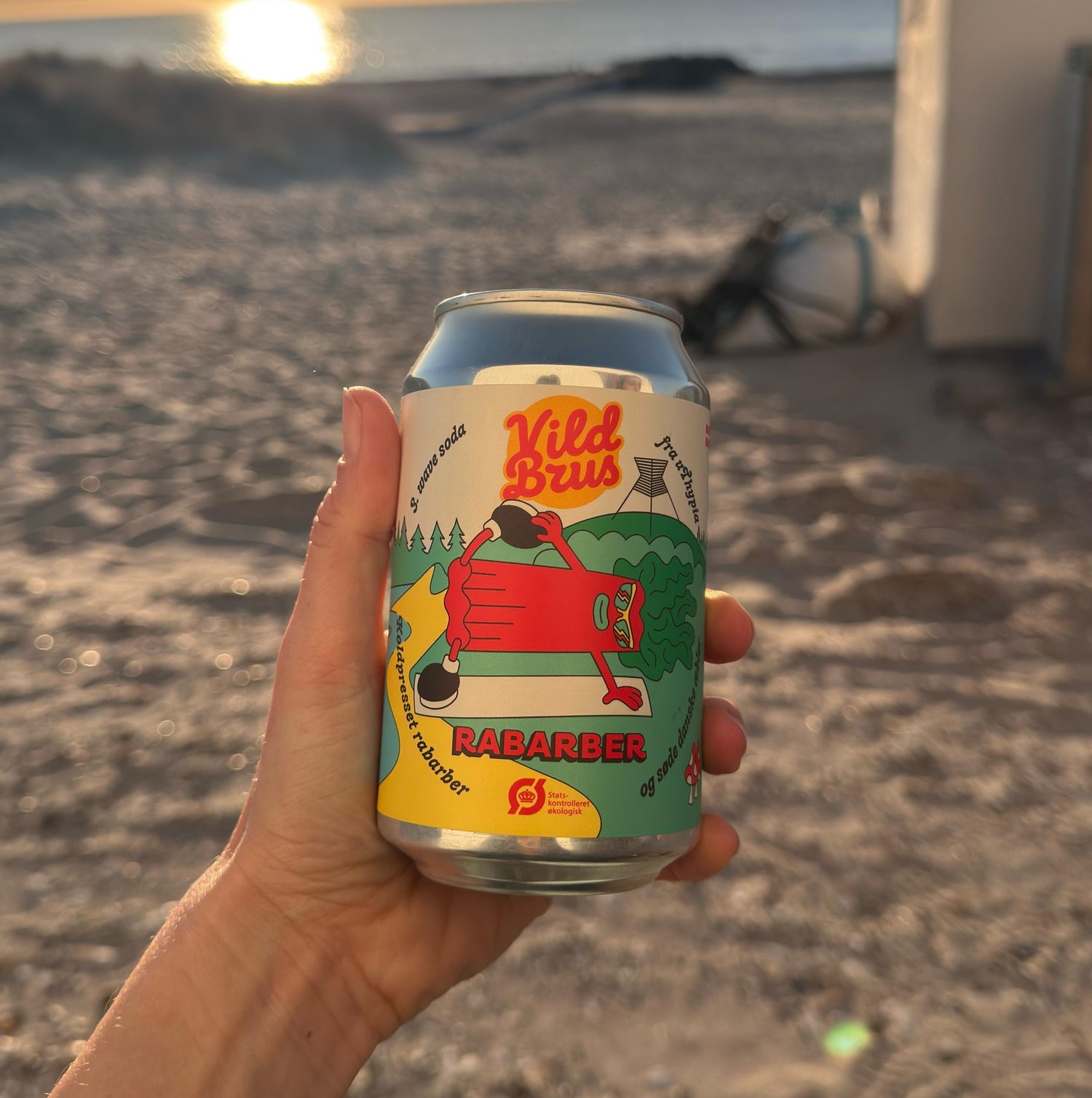 Vild Brus Rabarber (24 stk) - økologisk