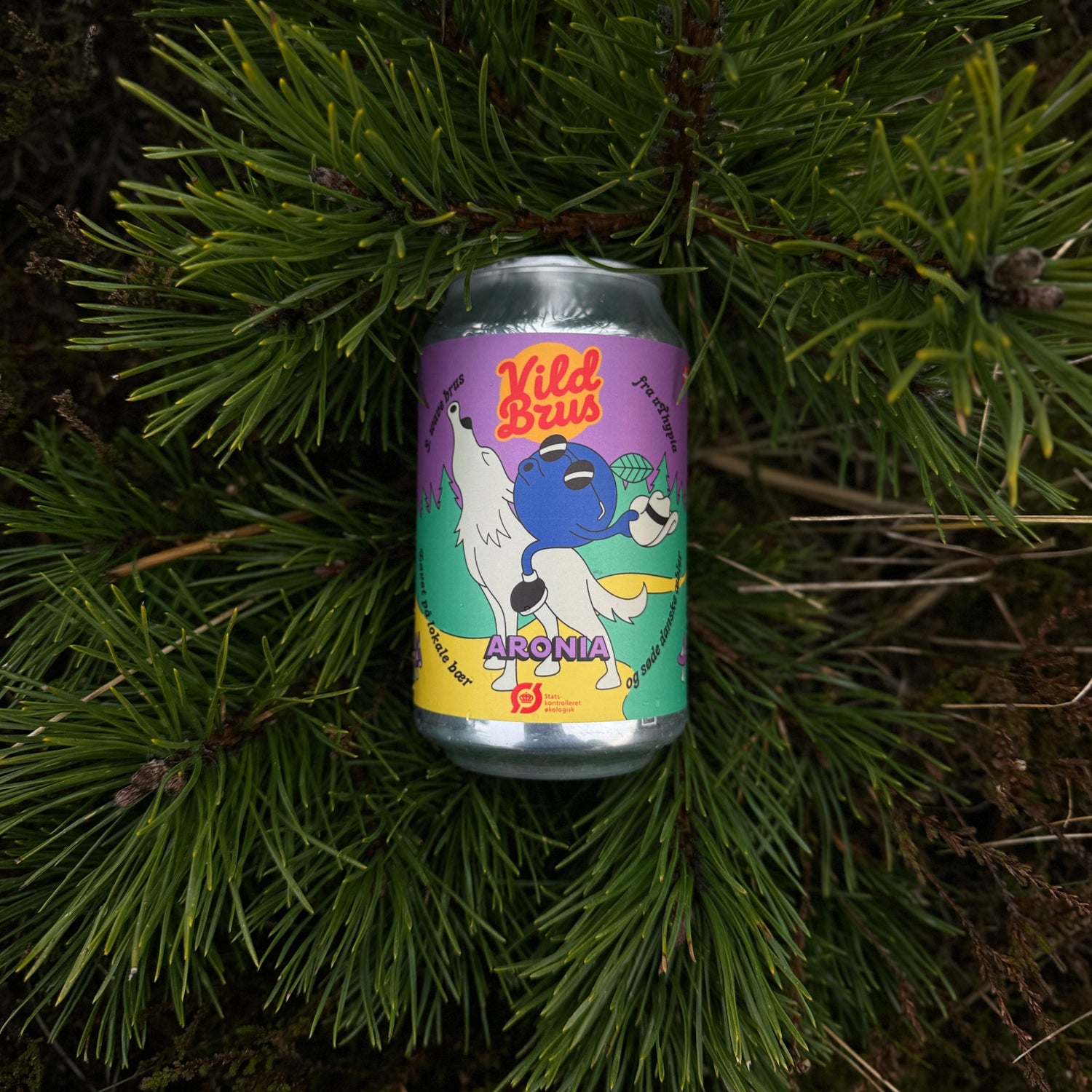 Foto Dåse Vild Brus Aronia