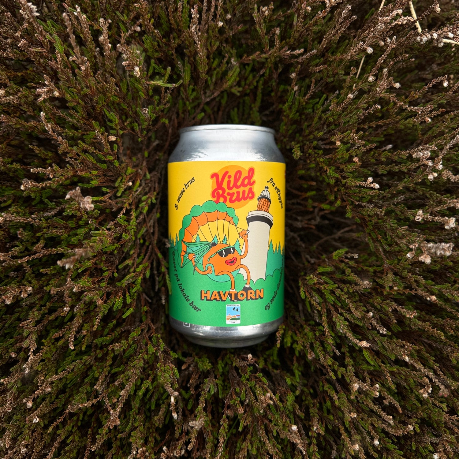 Foto Dåse Vild Brus Havtorn