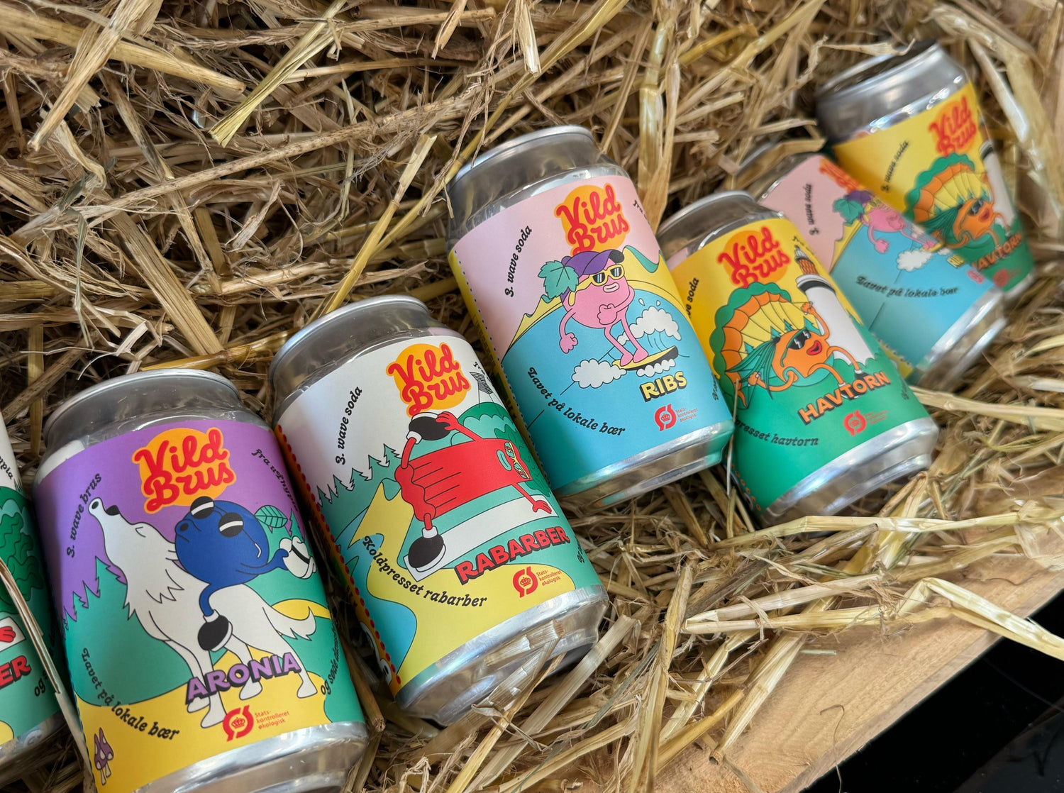 Vild Brus 12-pack Mix